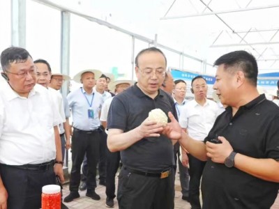 安徽省政協(xié)副主席、安慶市委書記張祥安于8月7日上午帶領(lǐng)著全市七縣三區(qū)主要領(lǐng)導(dǎo)蒞臨潛山市壽光模式智慧農(nóng)業(yè)產(chǎn)業(yè)示范園項(xiàng)目調(diào)研指導(dǎo)工作并召開現(xiàn)場會議